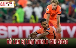 Hà Lan Bị Loại World Cup 2026